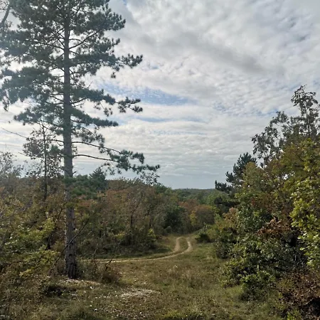 Lägenhet Forest House Balaton Cserszegtomaj